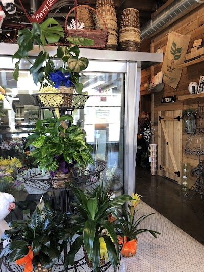 Floral And Hardy